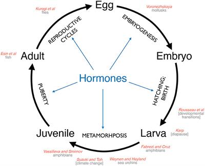Editorial: Hormones and Life History Strategies